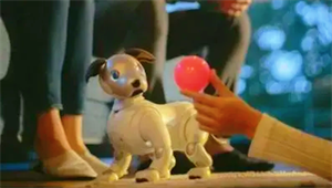 寵物芯片是什么？電子寵物能否成為精神寄托