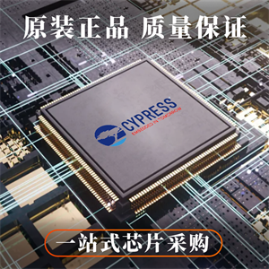 CYPRESS賽普拉斯CY8C5868AXI-LP035單片機的中文參數(shù)、應(yīng)用領(lǐng)域和功能特點