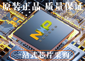 NXP恩智浦LPC1754FBD80K單片機的中文參數(shù)、應(yīng)用領(lǐng)域和功能特點
